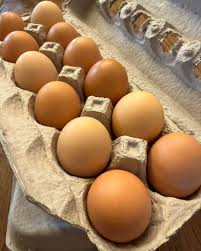 Old Country Farms Brown Free Run Eggs