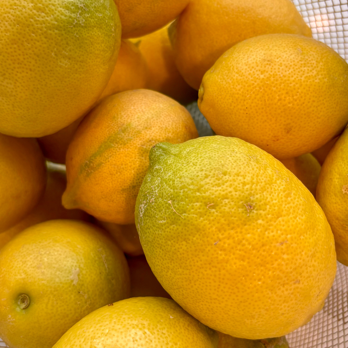 Lemons - Local/Organic