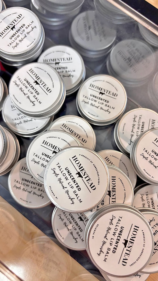 Tallow Lip Balm - Unscented