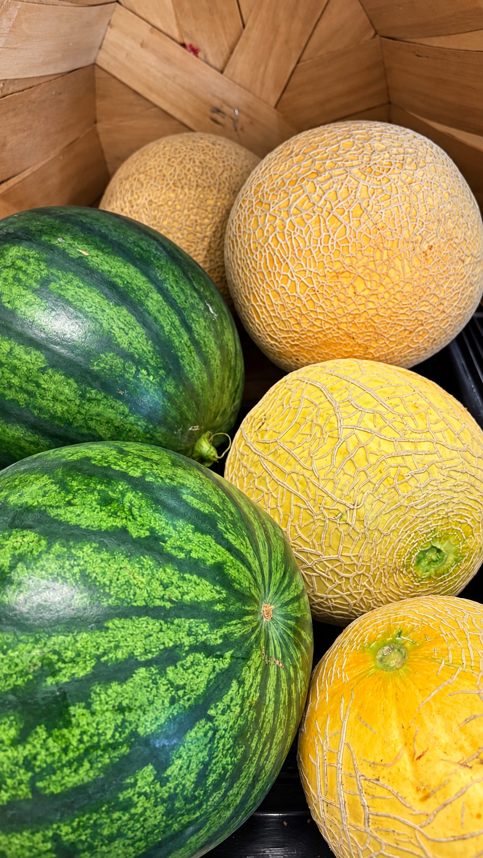 Watermelon Spray Free-Homestead