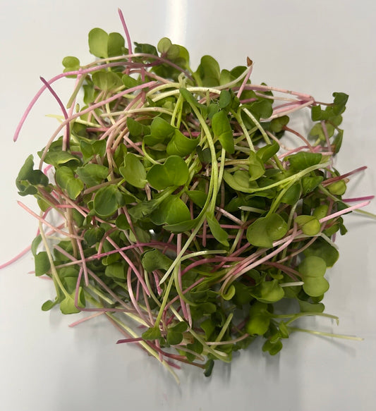 Chef's Blend Microgreen