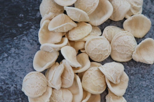Orecchiette Organic Pasta