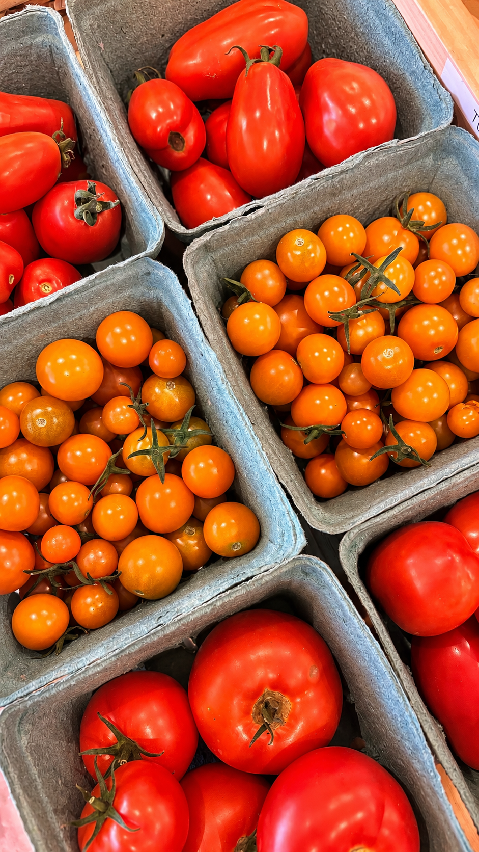 Tomatoes Assorted Types